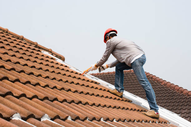Best Metal Roofing Installation  in Villisca, IA